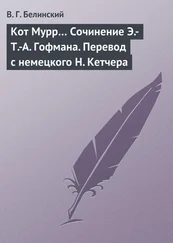 Виссарион Белинский - Кот Мурр… Сочинение Э.-Т.-А. Гофмана. Перевод с немецкого Н. Кетчера