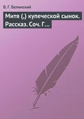 Виссарион Белинский - Митя (,) купеческой сынок. Рассказ. Соч. Г…