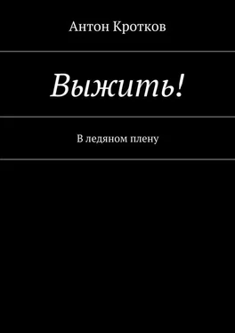 Антон Кротков Выжить! В ледяном плену обложка книги