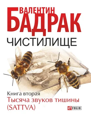 Валентин Бадрак Чистилище. Книга 2. Тысяча звуков тишины (Sattva) обложка книги