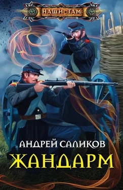 Андрей Саликов Жандарм обложка книги