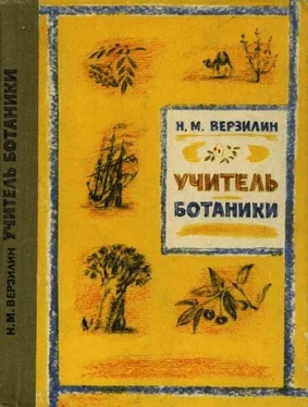 Николай Верзилин Учитель ботаники, или Разговор с растениями обложка книги