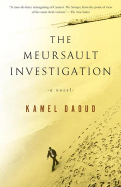 Kamel Daoud The Meursault Investigation обложка книги