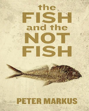 Peter Markus The Fish and the Not Fish обложка книги