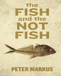 Peter Markus - The Fish and the Not Fish