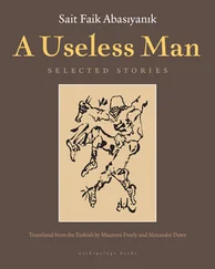 Sait Abasiyanik - A Useless Man