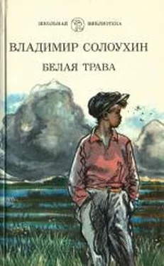 Владимир Солоухин Белая трава. (Рассказы) обложка книги