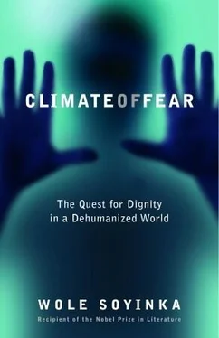 Wole Soyinka Climate of Fear : The Quest for Dignity in a Dehumanized World обложка книги