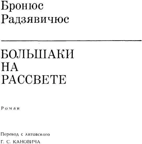 Большаки на рассвете - изображение 2