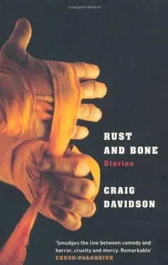 Craig Davidson Rust and Bone : Stories обложка книги