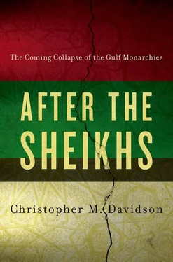Christopher Davidson After the Sheikhs : The Coming Collapse of the Gulf Monarchies обложка книги