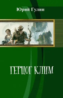 Юрий Гулин Герцог Клим (СИ) обложка книги