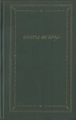 Дмитрий Минаев - Поэты «Искры». Том 2