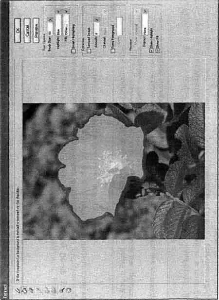 Рис 1318 Окно настройки команды Extract После вызова этой команды на экране - фото 59