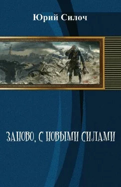 Юрий Силоч Заново, с новыми силами (СИ) обложка книги