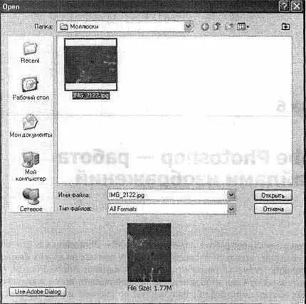 Рис 61 Окно открытия файлов Adobe Photoshop Слева от списка файлов находятся - фото 6