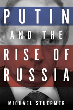 Michael Stuermer Putin and the Rise of Russia обложка книги