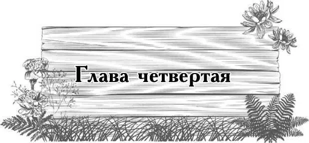 Создание однотонных клумб это новое направление в декоративном оформлении - фото 18
