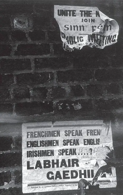 Posters on a wall in Dublin promoting Irish I know that if you were to speak - фото 35