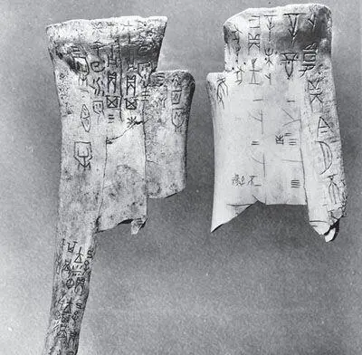 Chinese oracle bones from the Shang Dynasty So the ideograms either modify - фото 98