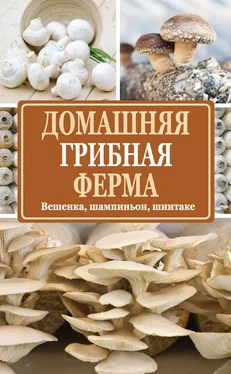 Нина Богданова Домашняя грибная ферма. Вешенка, шампиньон, шиитаке обложка книги