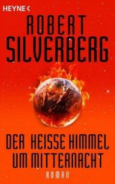 Robert Silverberg Der heisse Himmel um Mitternacht обложка книги