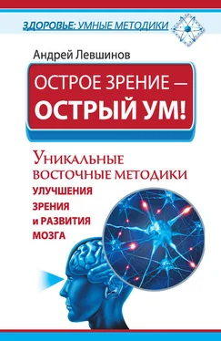 Андрей Левшинов Острое зрение – острый ум! Уникальные восточные методики улучшения зрения и развития мозга обложка книги