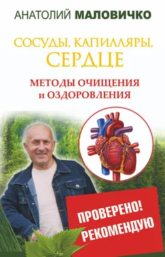 Анатолий Маловичко Сосуды, капилляры, сердце. Методы очищения и оздоровления обложка книги