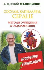 Анатолий Маловичко - Сосуды, капилляры, сердце. Методы очищения и оздоровления