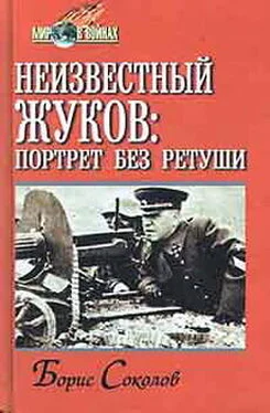 Борис Соколов Неизвестный Жуков: портрет без ретуши в зеркале эпохи обложка книги