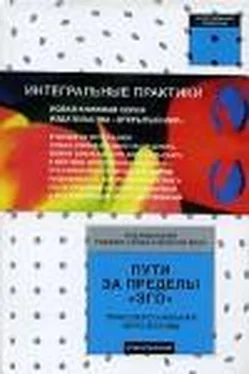 Роджнр Уолш Пути за пределы эго обложка книги