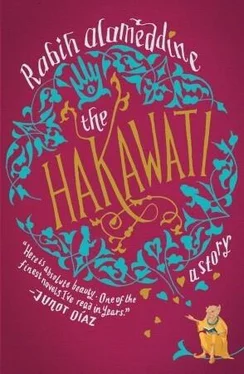 Rabih Alameddine The Hakawati обложка книги