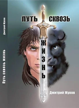 Дмитрий Жуков Путь сквозь жизнь (СИ) обложка книги