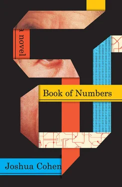 Joshua Cohen Book of Numbers обложка книги