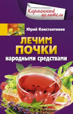 Юрий Константинов Лечим почки народными средствами обложка книги