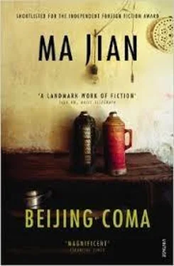 Ma Jian Beijing Coma обложка книги