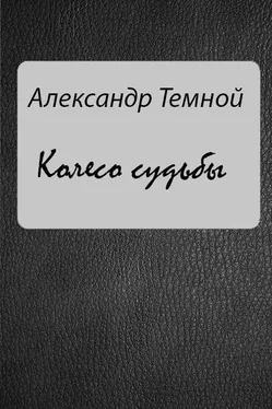 Александр Темной Колесо судьбы обложка книги