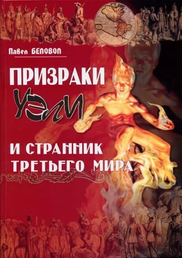 Павел Беловол Призраки Уэли и странник третьего мира обложка книги