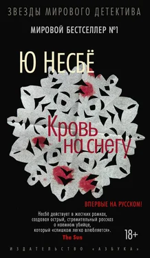 Ю Несбё Кровь на снегу обложка книги