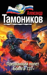 Александр Тамоников - Прерванный полет «Боинга-737»