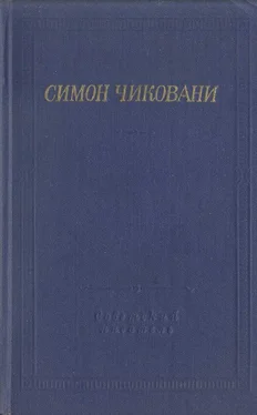 Симон Чиковани Стихотворения и поэмы обложка книги