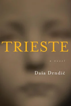 Daša Drndić Trieste обложка книги
