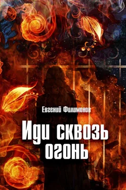 Евгений Филимонов Иди сквозь огонь обложка книги