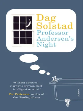 Dag Solstad Professor Andersen's Night обложка книги