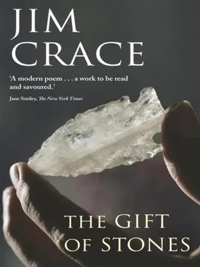 Jim Crace The Gift of Stones обложка книги