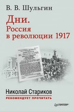 Василий Шульгин Дни. Россия в революции 1917