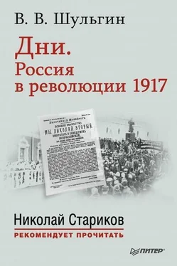 Василий Шульгин Дни. Россия в революции 1917 обложка книги