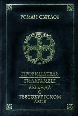 Роман Светлов Легенда о Тевтобургском лесе обложка книги