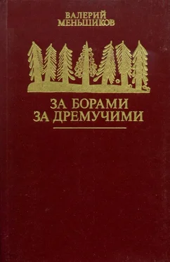 Валерий Меньшиков За борами за дремучими обложка книги