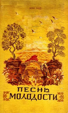 Ян Мо Песнь молодости обложка книги
